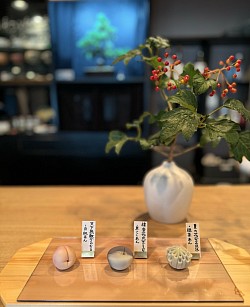 季節の練り切りvol.7